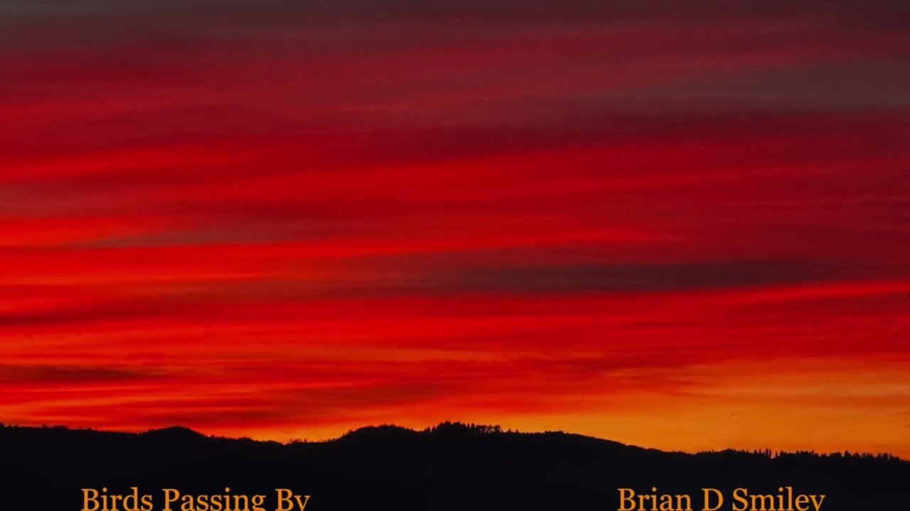 Birds Passing By - Brian D Smiley
