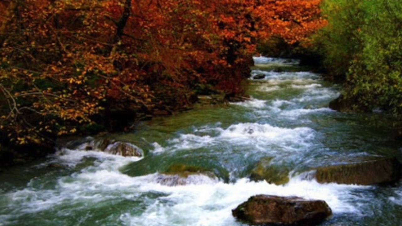 Evening Creek (Original Composition) By Oliver Symmons