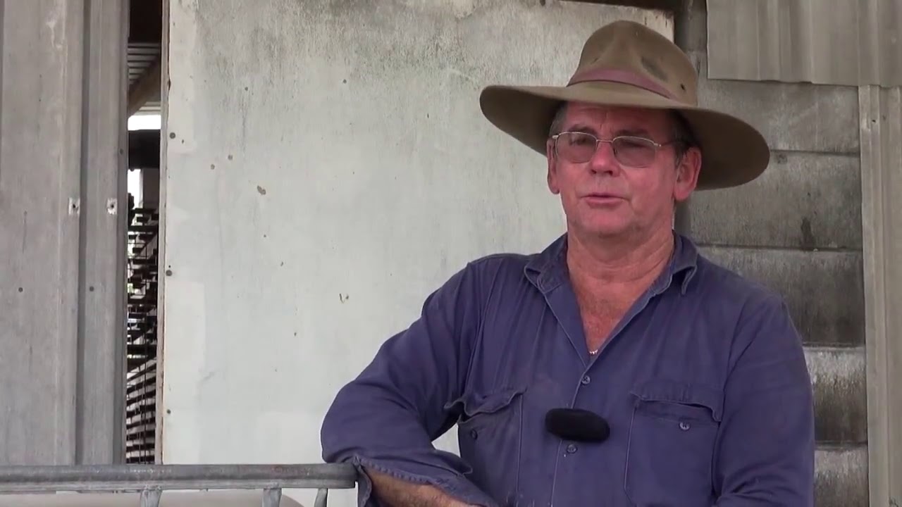 Michael and Peter Ottone: Compost Tea and Biofertiliser on Sugarcane