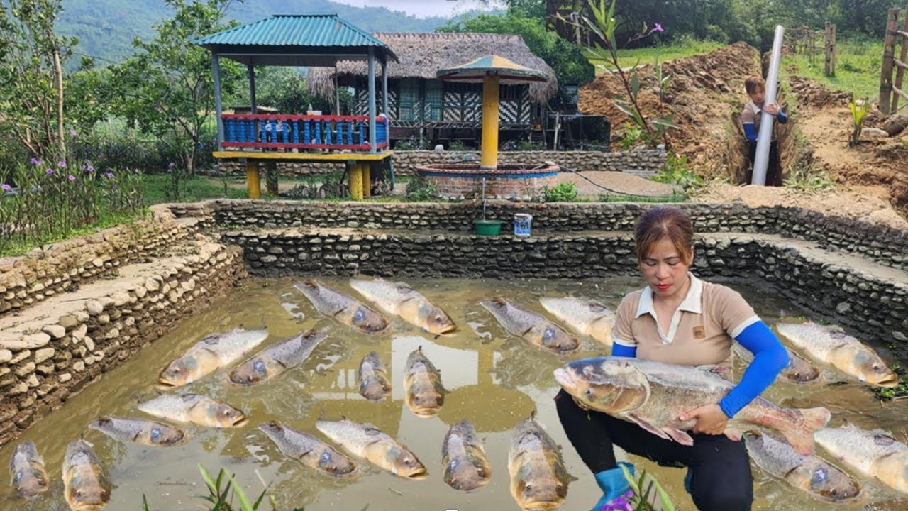 The Single Girl Saves Sick Fish and Installs a Drainage System for the Pond!