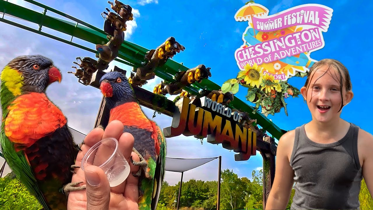 Chessington World Of Adventures Summer Festival Vlog 30th August 2024