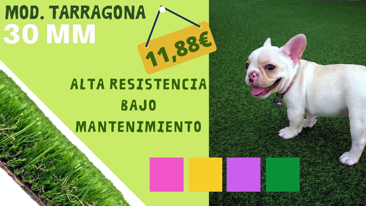 C&eacute;sped Artificial Para Ni&ntilde;os y Mascotas