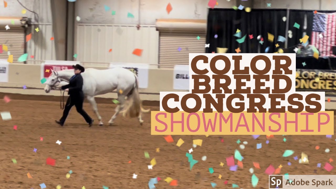 Color Breed Congress | Showmanship Win!