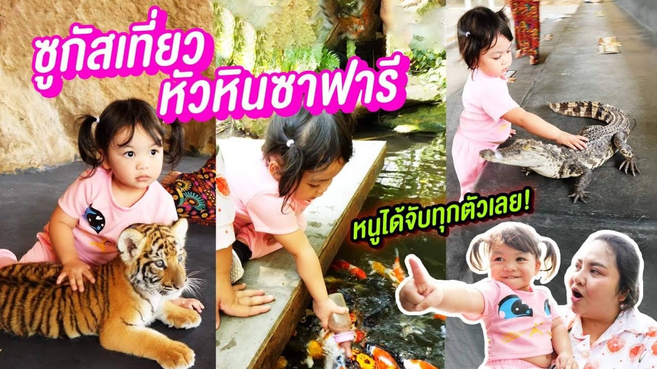 น้องซูกัส เที่ยวหัวหินซาฟารี เล่นกับสัตว์น่ารัก