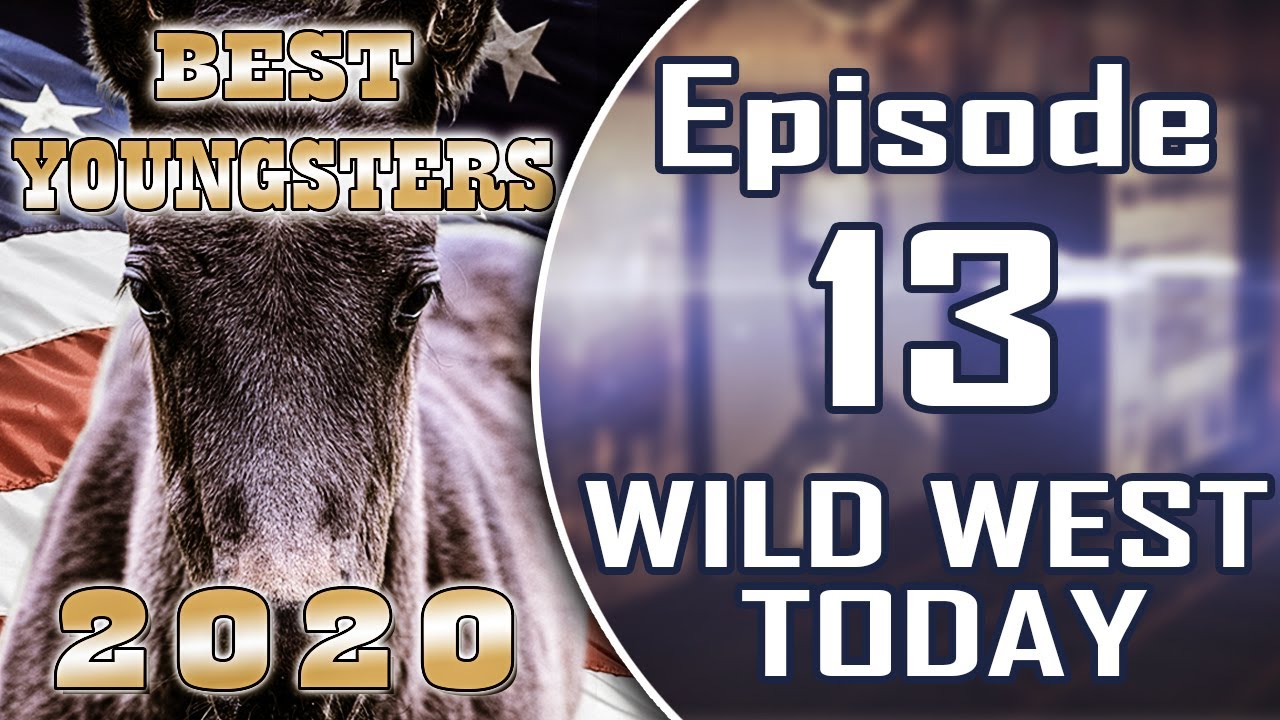 American Quarter Horse Futurity Cup und Fohlenchampionat der DQHA - Wild West Today Episode 13