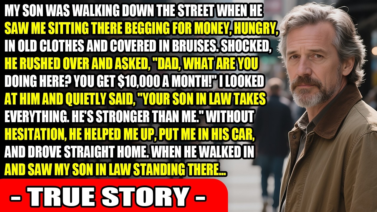 My Son-in-Law Forced Me To Beg—Until My Son Found Out And Changed Everything...