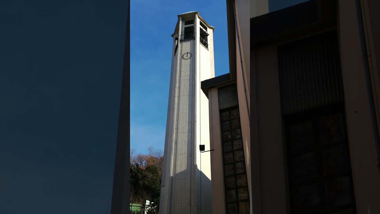 Distesa solenne delle campane di N.S. della Neve (Bolzaneto)