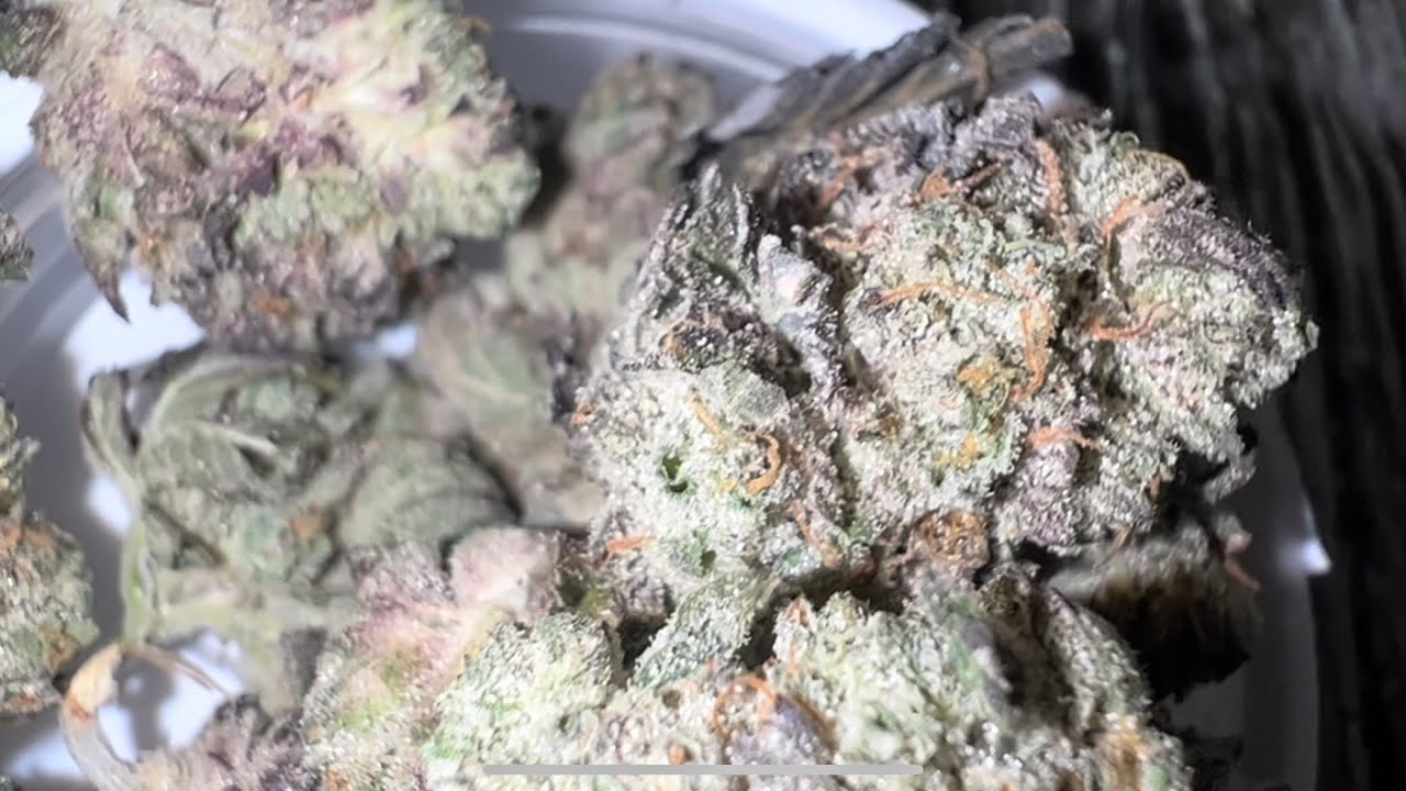 Garlic Glue #28 Rythm Cannabis Rise Dispensary Florida