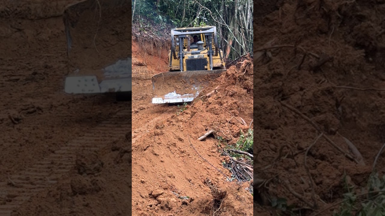 CAT D6R XL Bulldozer Operator Leveling a Forest Road