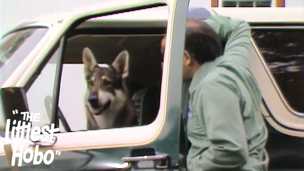 Trapper | The Littlest Hobo | Season 2 | Episode 4