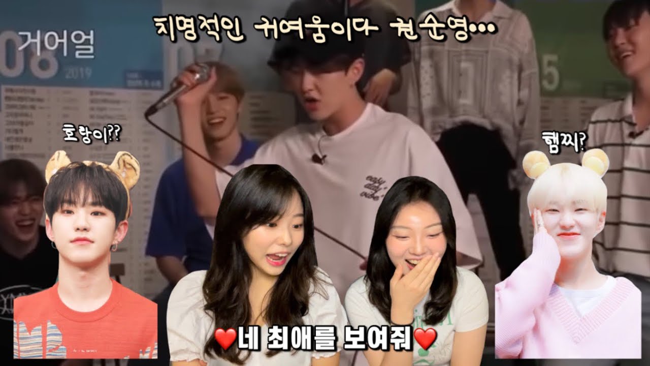 ❤️네 최애를 보여줘❤️ 세븐틴(SEVENTEEN) 호시 | 차쥐뿔이 쏘아올린 작은 공 | 그래서 우린 언제 껴줄건데? | 고잉셉 | Reaction to SEVENTEEN