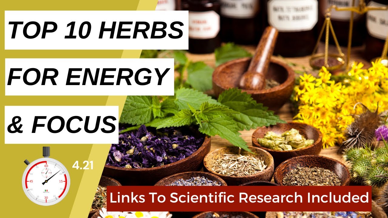 Natural Energy Boosters: 10 Herbs to Increase Alertness and Concentration