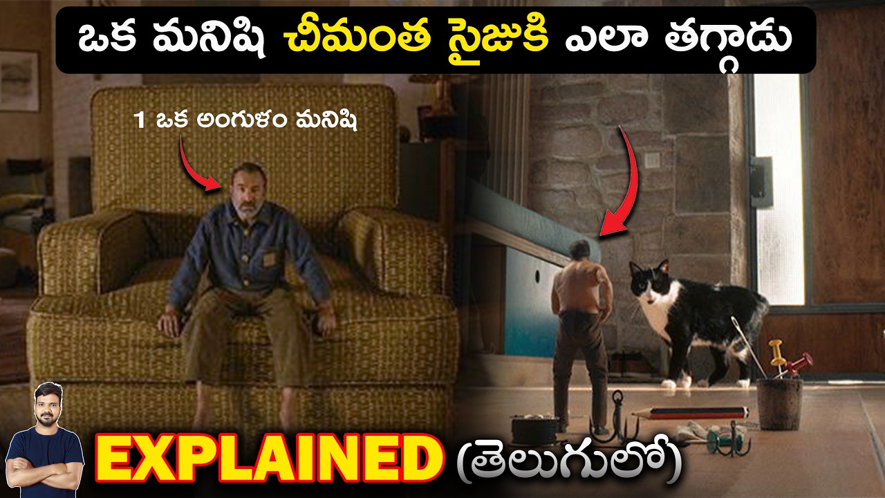 మనిషి సైజు రోజురోజుకీ తగ్గిపోతే? | Movie Explained in Telugu | BTR Vibes