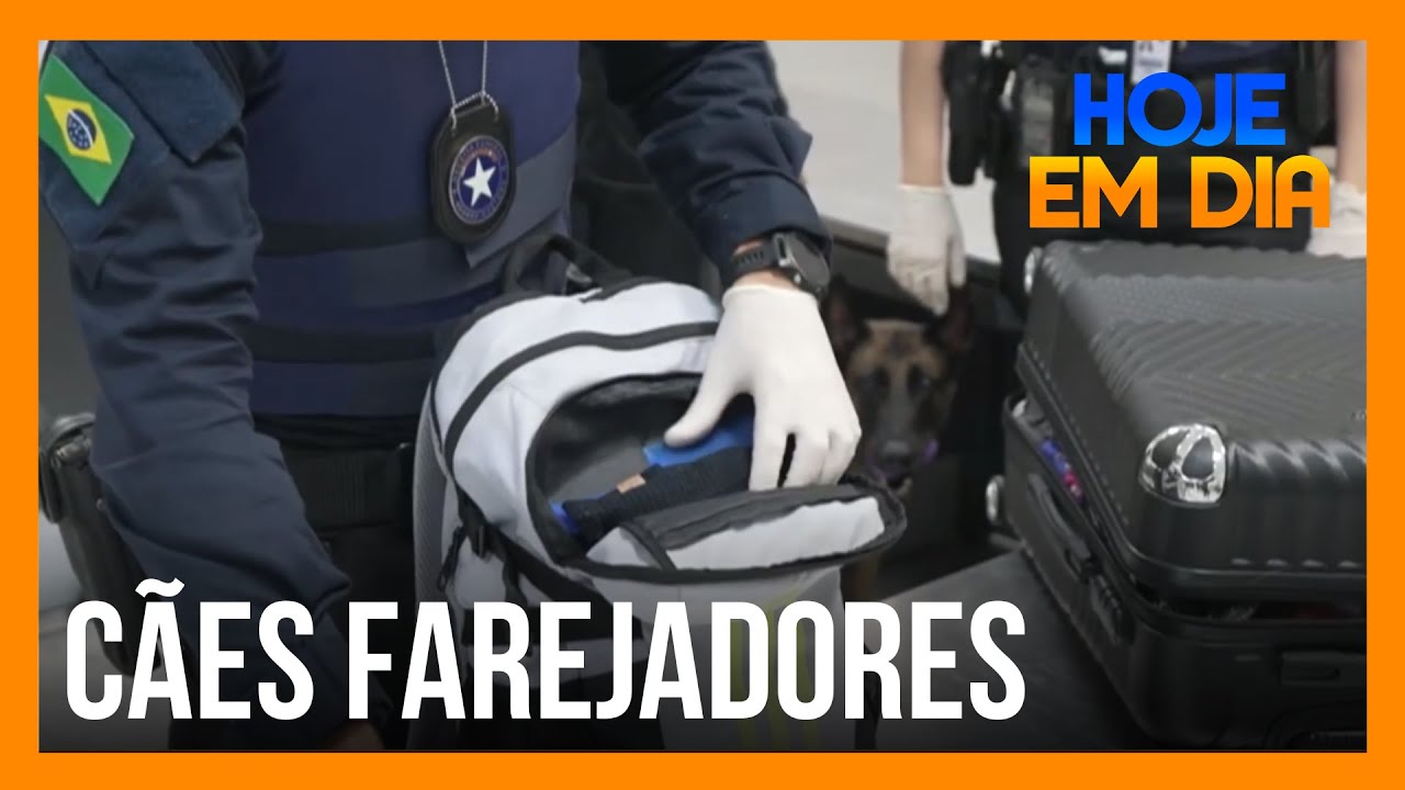 Cães detectam drogas em aeroporto de Guarulhos