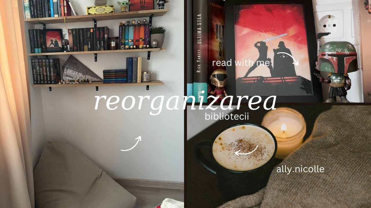 reorganizarea bibliotecii~2026