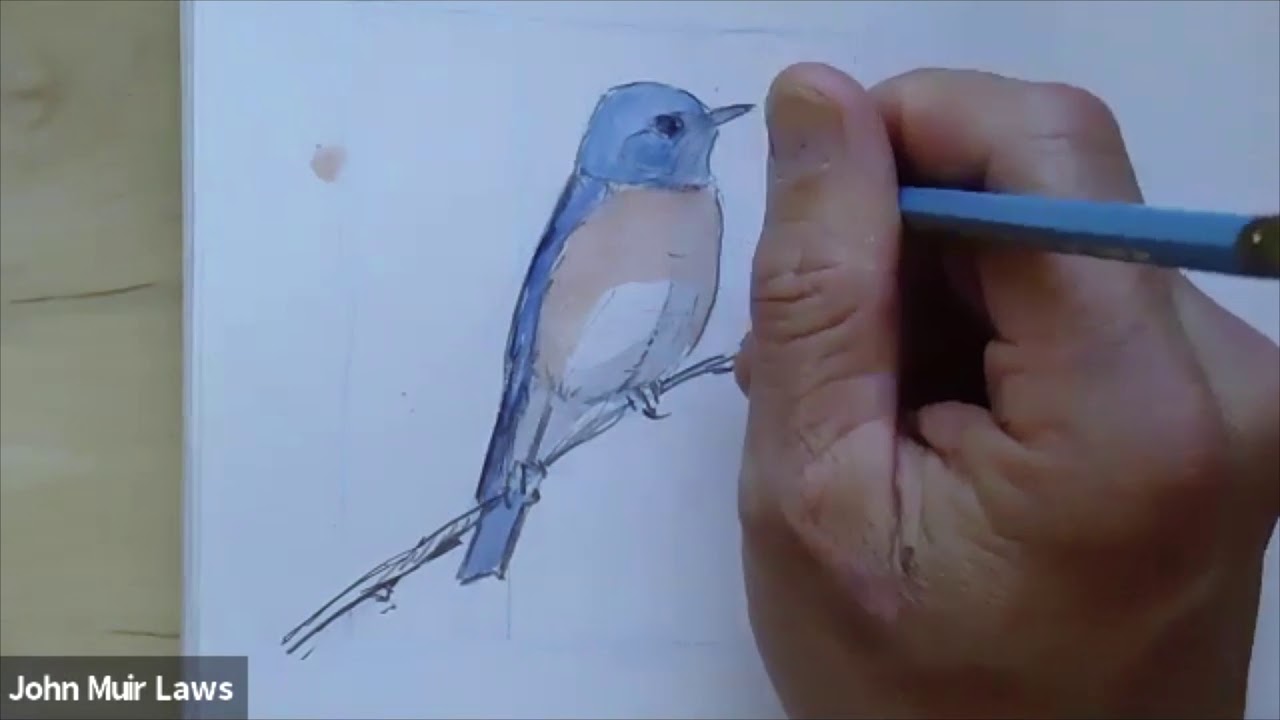 Watercolor Backgrounds