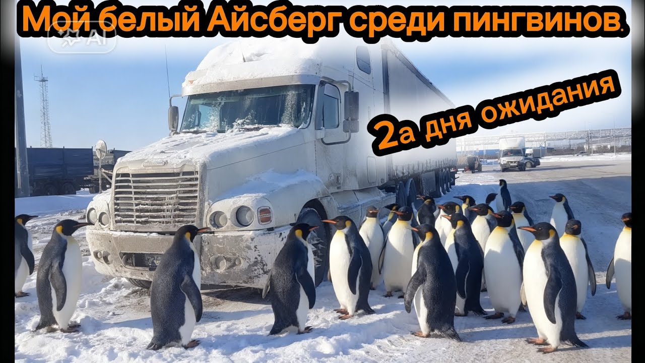 Выезд на нервах УТЭП БАНЯ #freightliner #automobile #грузовичок #дальнобой #зима #дальнобій #truck
