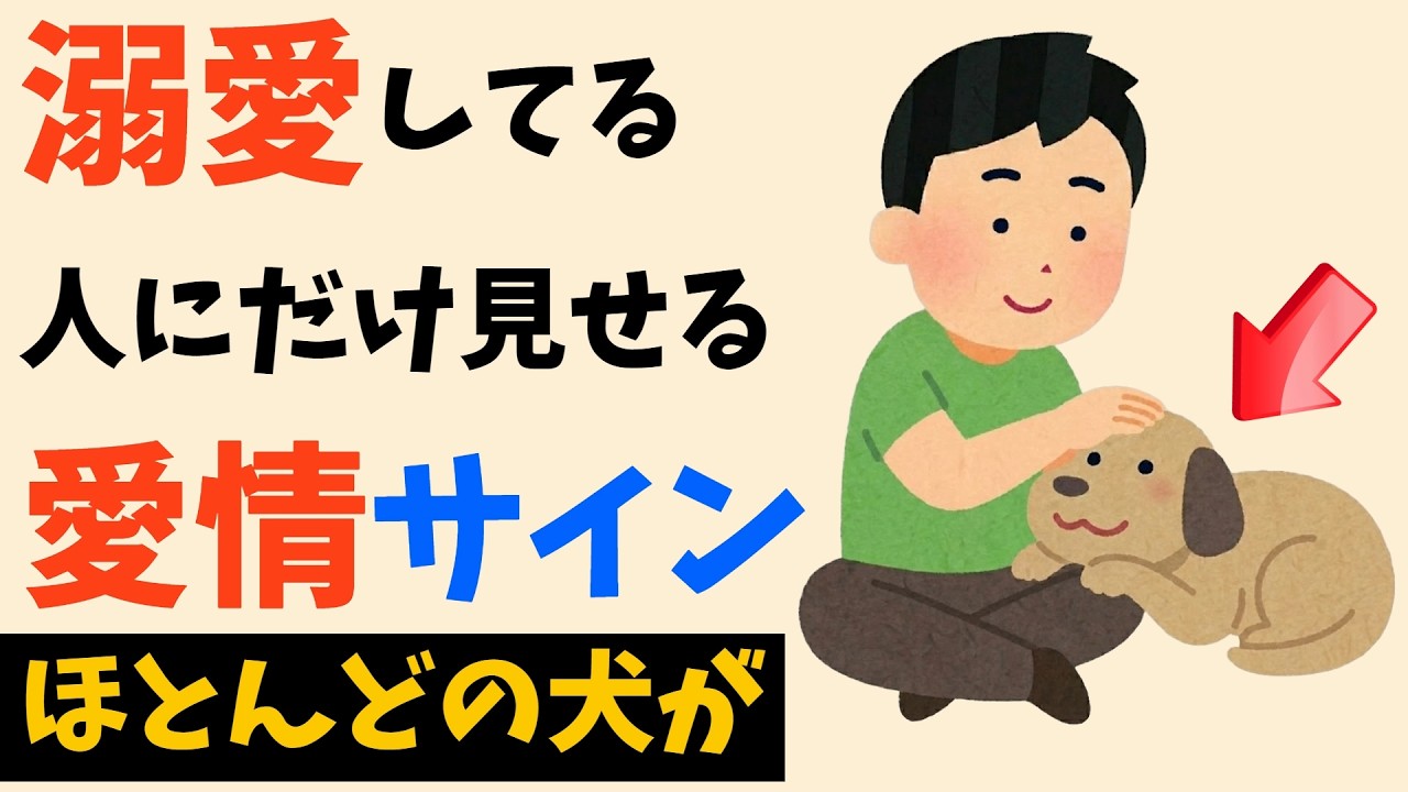 愛犬があなたを溺愛している証拠！見逃せない愛情サイン7選