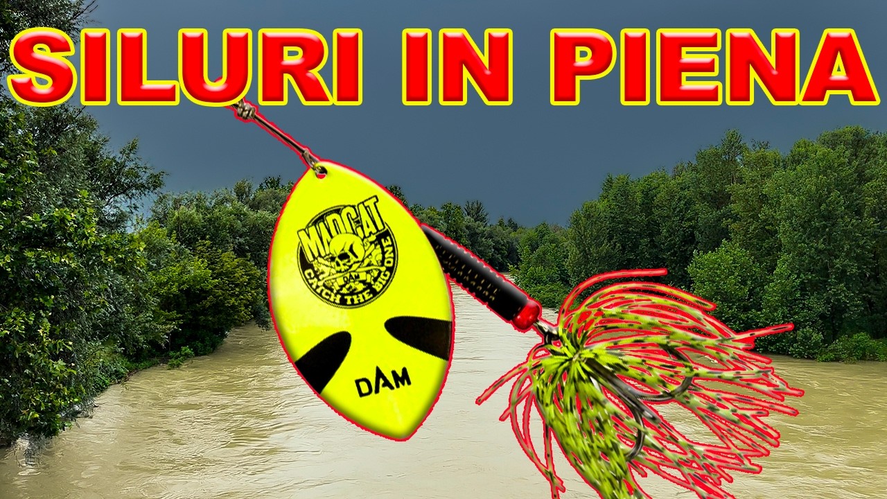 Pesca al Siluro a Spinning Durante la Piena del Fiume