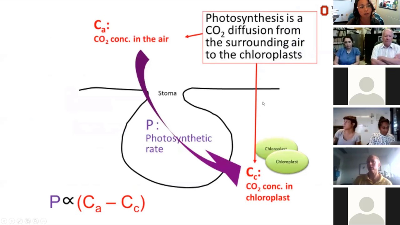 Indoor Ag Sci Cafe #1 - Eyes on CO2