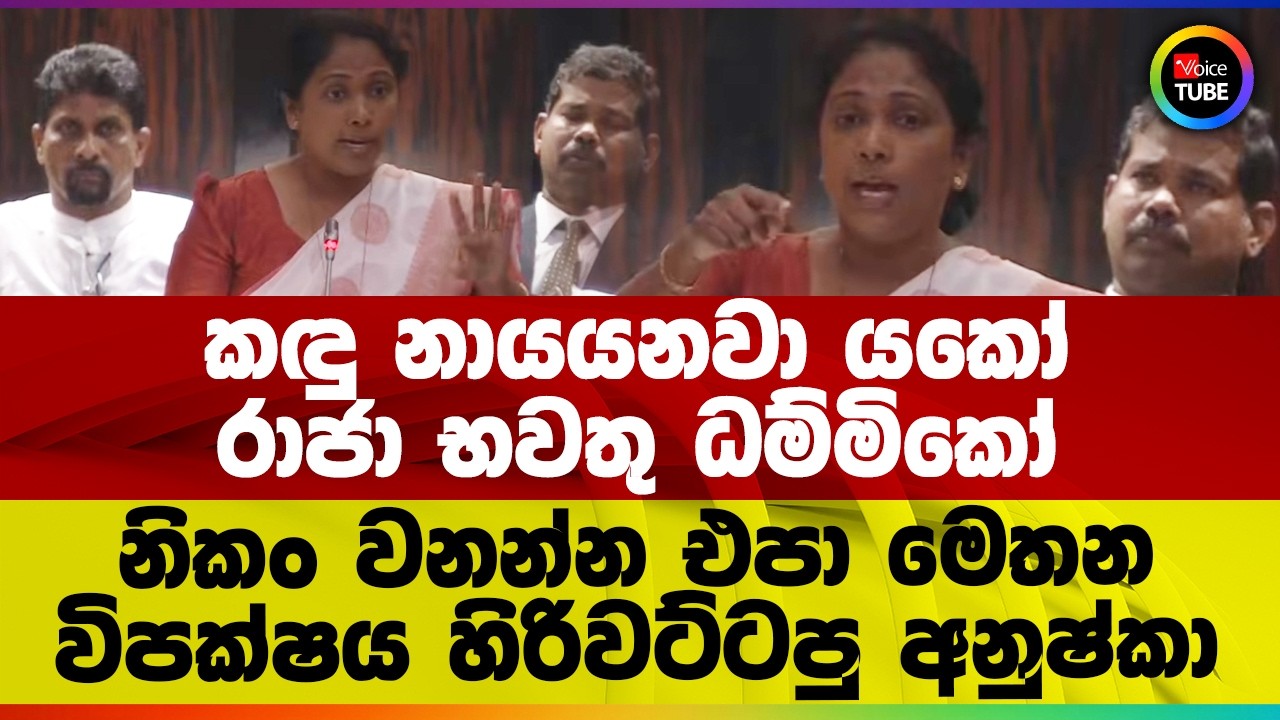තිබුණානම් නැටි අපිට වනලා වනලම කැඩිලා මෙලහට! | නිකං වනන්න එපා මෙතන | විපක්ෂය හිරිවට්ටපු අනුෂ්කා