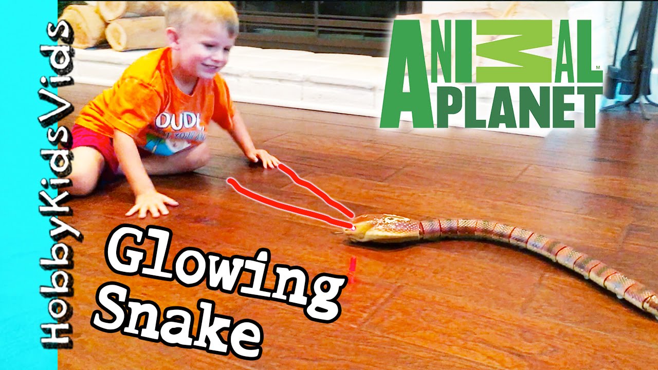 Animal Planet SNAKE Toy PLAY Review! Snake + Remote Control HobbyKidsVids