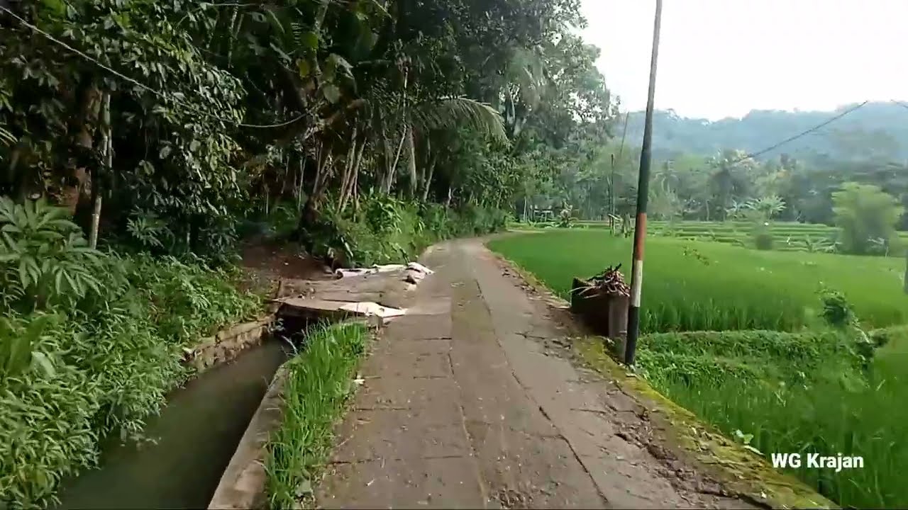 Dari Bedug Ke Arah Jembatan Suto Menikmati Pemandangan 