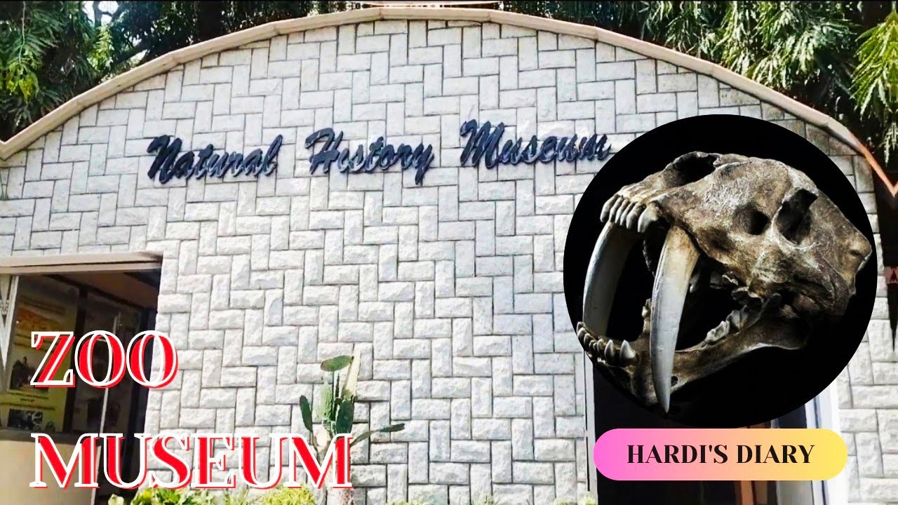 Natural History Museum | Zoo Museum | Tiger Life In The Jungle | Zoo Park Hyderabad #viral #tiger