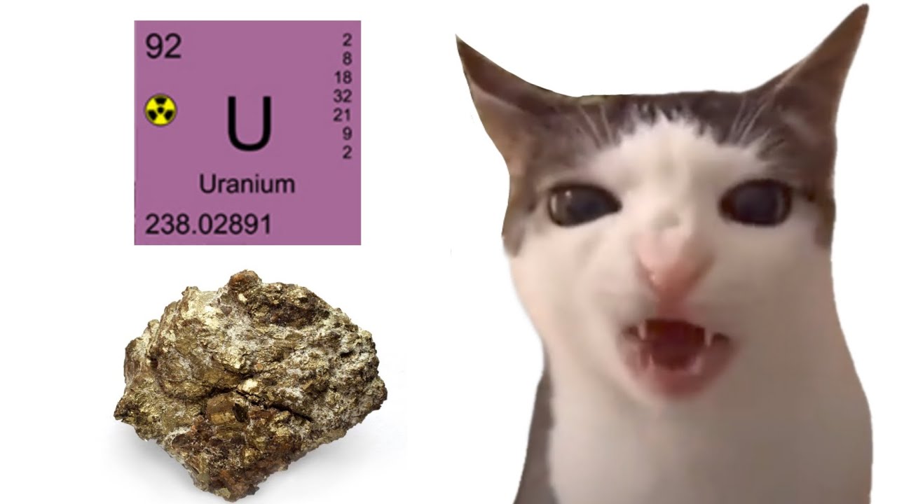 cat eats uranium
