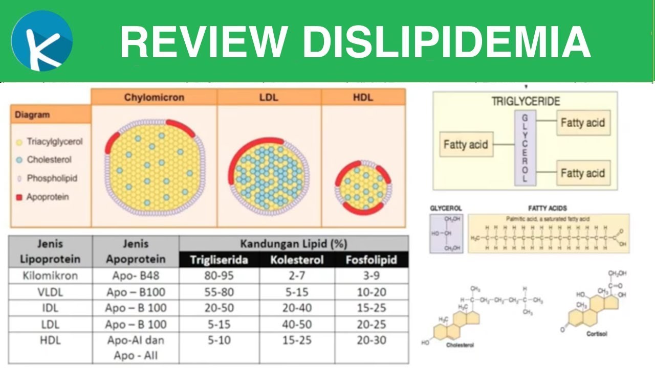 Dislipidemia - Jenis Lipoprotein, Terapi dan Klasifikasi Dislipidemia