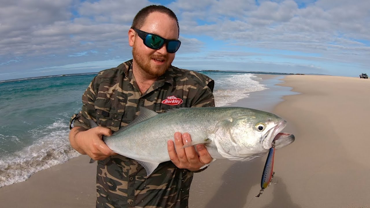 Big Tailor and Australian Salmon on Stickbaits