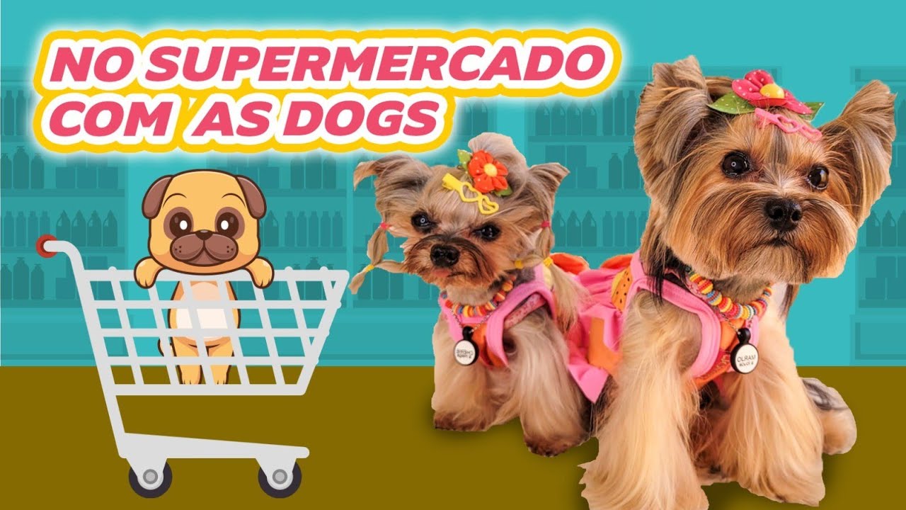 Fomos fazer compras no mercado com as dogs! Supermercado Petfriendly