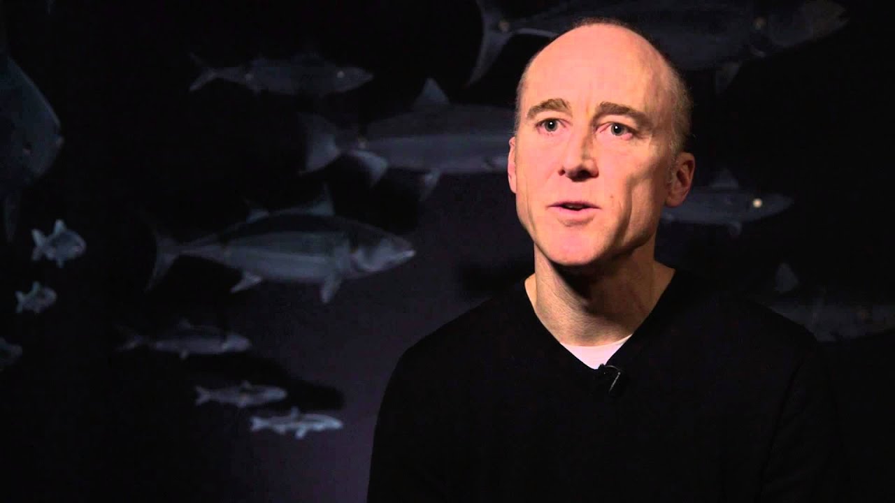 The Big Thaw - Beluga, Arctic parasites and climate change