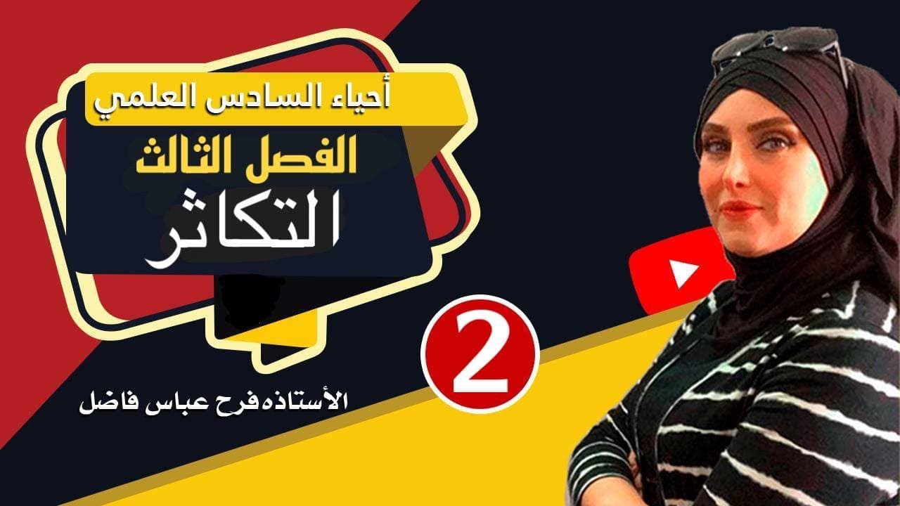 احياء السادس العلمي / التكاثر 2 / تكوين النطف ( الحيوانات المنوية )
