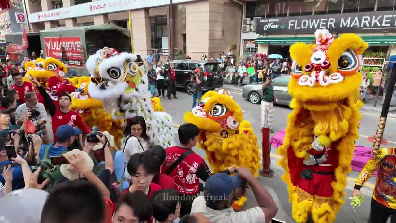 Pre-CNY 2025-Lion Dance Eye-Dotting and Acrobatic Performance by 國藝体育会 Kok Ngai at PS Guan Di Temple