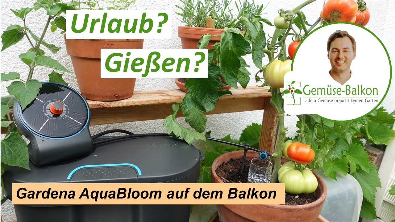 Gardena AquaBloom - Was kann die automatische Urlaubsbewässerung mit Solarpumpe?