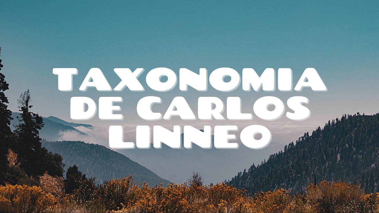 Taxonom&iacute;a de Carlos Linneo