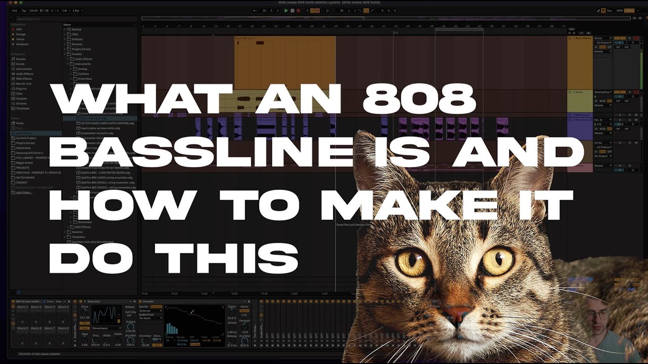 What is an 808 bassline? (and how to make a WILD one in Ableton)