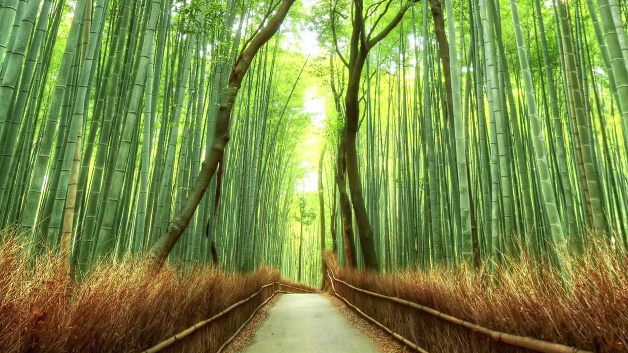 25 minutes Meditation Sound | USE EARPHONES | Reach Subconscious| Relaxing Music | Meditative Souls
