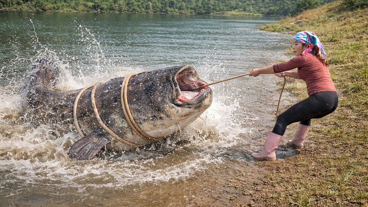 Fishing Skills: Catching 1900kg+ River Catfish & Giant Carp by Hand with DIY Trap for Market Sale