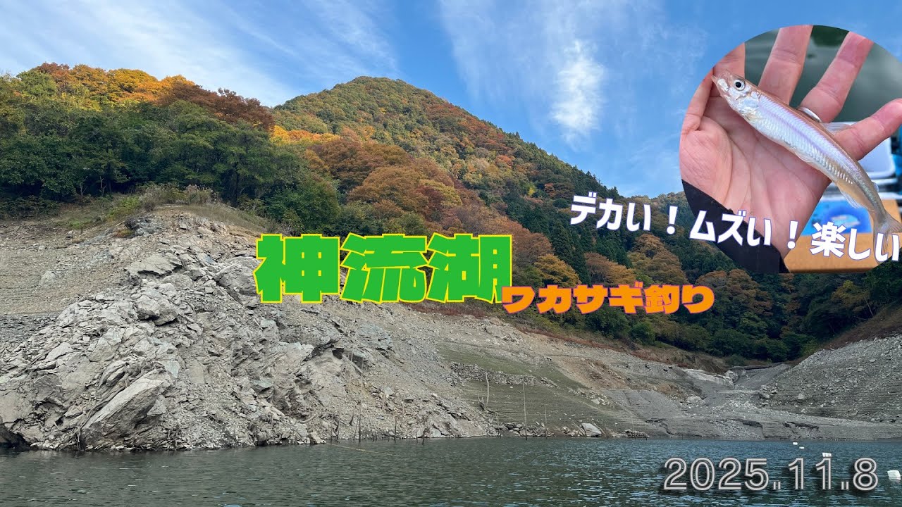 2025.11.8【デカサギ乱舞】神流湖ワカサギ釣り