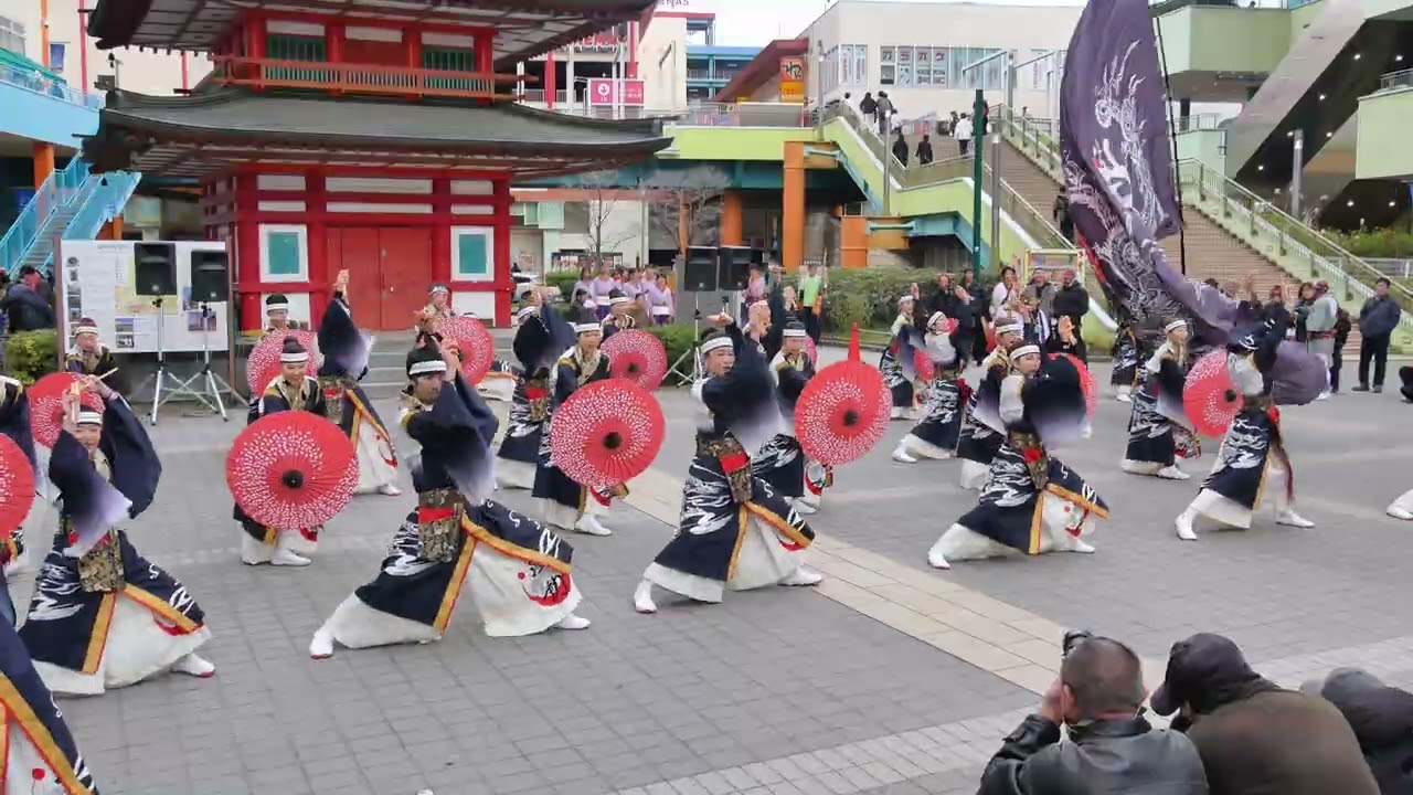 躍動（Ebinaよさこい2026・「新風維吹」・七重の塔前その二）