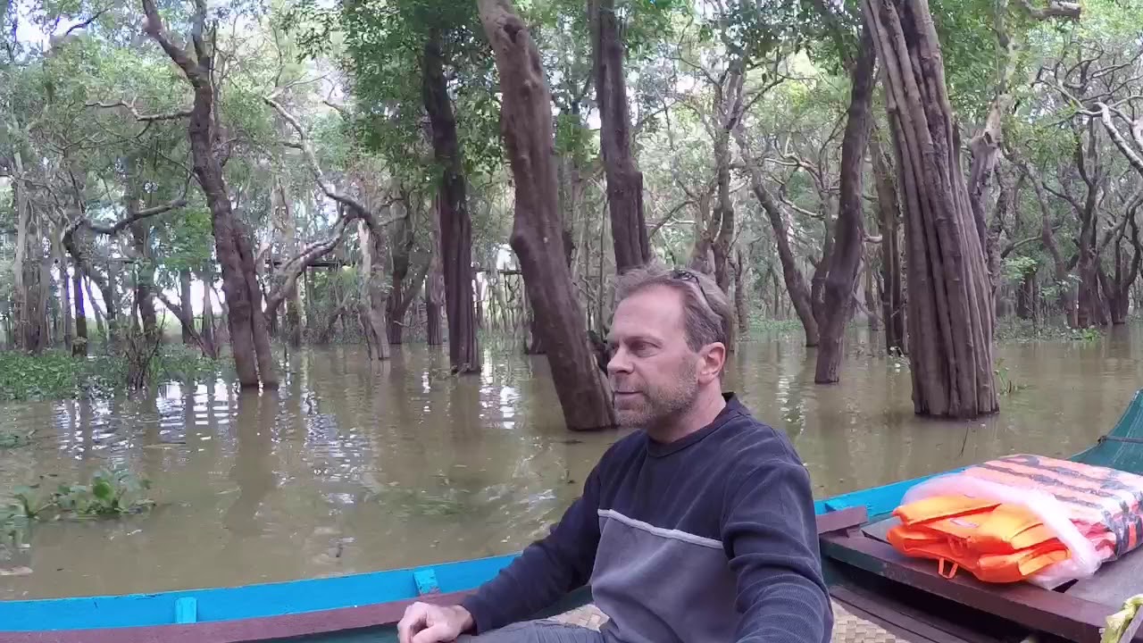 Flooded Forest