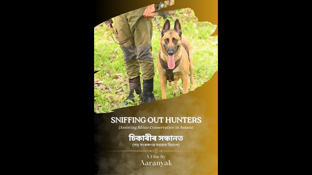 Sniffing out Hunters (চিকাৰীৰ সন্ধানত), the story of Aaranyak's K9 Sniffer Dog Squad