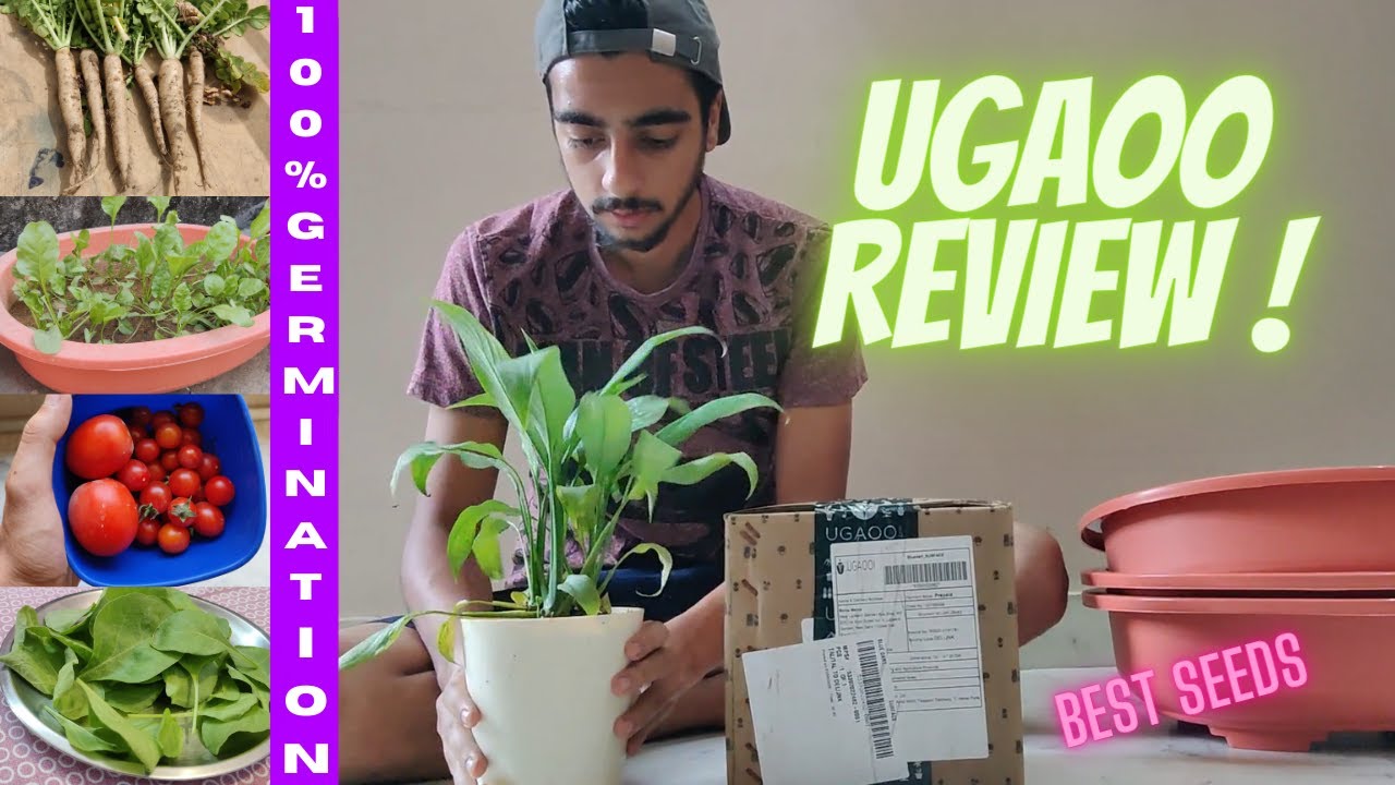 UGAOO SEEDS REVIEW AND UNBOXING || BEST QUALITY SEEDS || UGAOO.COM 🌱🍅🥬