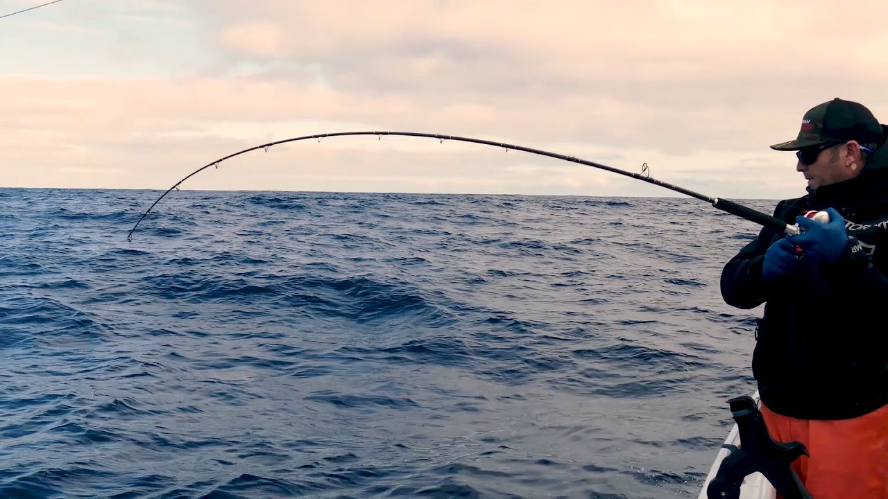 Team RainShadow: Albacore 2018