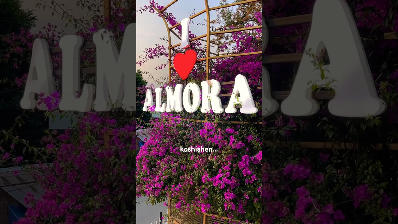 Almora has my heart ❤️ #uttarakhand #travel #almora