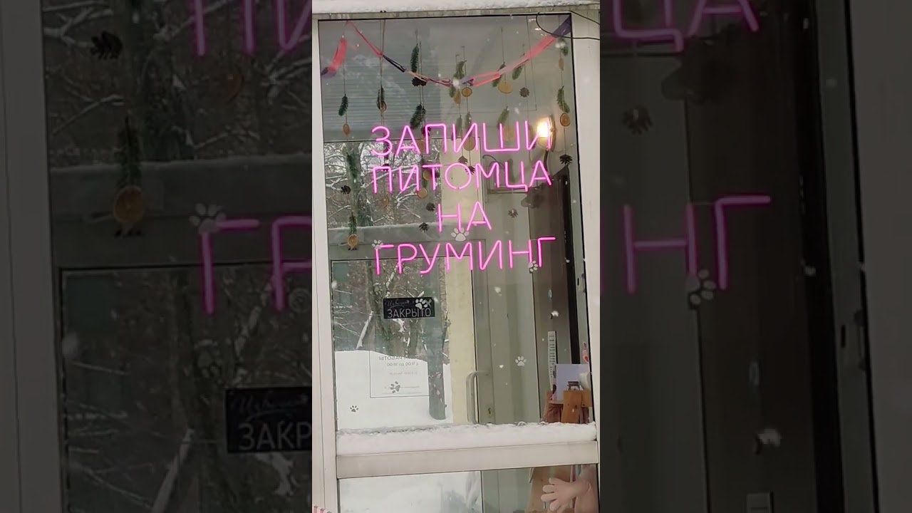 Питомец на Груминг пойдешь #юмор #питомцы #собаки #comedy #shorts #snow #прикол