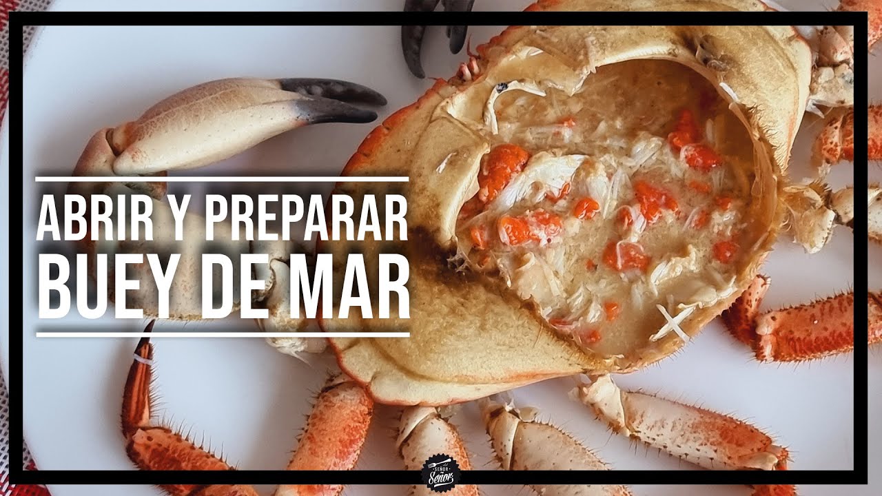 Abrir y limpiar un buey de mar 🦀 Preparación paso a paso