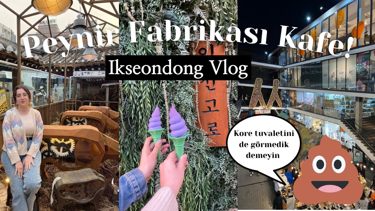 Peynirli Kahve İçmeye Gidiyoruz! Insadong'ta Sokak Yemeği 🧀 Bok Temalı Kafe Gördük💩 |VLOG45
